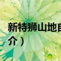 新特狮山地自行车（关于新特狮山地自行车简介）