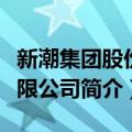 新潮集团股份有限公司（关于新潮集团股份有限公司简介）