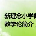 新理念小学数学教学论（关于新理念小学数学教学论简介）