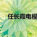 任长霞电视剧剧情（电视剧任长霞简介）