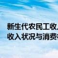 新生代农民工收入状况与消费行为研究（关于新生代农民工收入状况与消费行为研究简介）