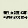 新生血管形态形成及其分子调控机理的研究（关于新生血管形态形成及其分子调控机理的研究简介）