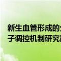 新生血管形成的分子调控机制研究（关于新生血管形成的分子调控机制研究简介）