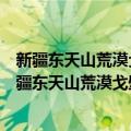 新疆东天山荒漠戈壁区深穿透地球化学调查与研究（关于新疆东天山荒漠戈壁区深穿透地球化学调查与研究简介）