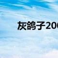 灰鸽子2005（关于灰鸽子2005介绍）