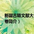 新疆古籍文献大词典 1-3卷（关于新疆古籍文献大词典 1-3卷简介）