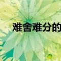 难舍难分的句子（总有一句写进你心里）