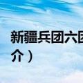 新疆兵团六团苹果（关于新疆兵团六团苹果简介）