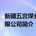 新疆五宫煤业有限公司（关于新疆五宫煤业有限公司简介）