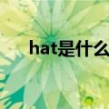 hat是什么意思译（单词hat什么意思）