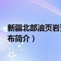 新疆北部油页岩资源与分布（关于新疆北部油页岩资源与分布简介）