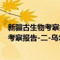 新疆古生物考察报告-二-乌尔禾龙动物群（关于新疆古生物考察报告-二-乌尔禾龙动物群简介）