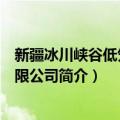 新疆冰川峡谷低氘水有限公司（关于新疆冰川峡谷低氘水有限公司简介）