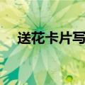 送花卡片写什么（在送花卡片上写的话）