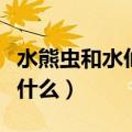 水熊虫和水仙花哪个生命强（水仙花的特点是什么）