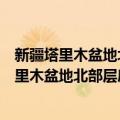 新疆塔里木盆地北部层序地层中的沉积学研究（关于新疆塔里木盆地北部层序地层中的沉积学研究简介）