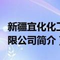 新疆宜化化工有限公司（关于新疆宜化化工有限公司简介）