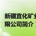 新疆宜化矿业有限公司（关于新疆宜化矿业有限公司简介）