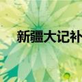 新疆大记补编（关于新疆大记补编简介）