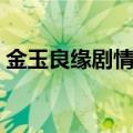 金玉良缘剧情介绍（金玉良缘剧情介绍简述）