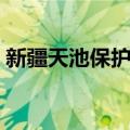 新疆天池保护区（关于新疆天池保护区简介）