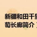 新疆和田千里葡萄长廊（关于新疆和田千里葡萄长廊简介）