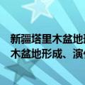 新疆塔里木盆地形成、演化与油气关系研究（关于新疆塔里木盆地形成、演化与油气关系研究简介）