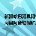 新疆哈巴河县阿舍勒铜矿成矿地质条件研究（关于新疆哈巴河县阿舍勒铜矿成矿地质条件研究简介）