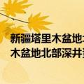 新疆塔里木盆地北部深井资料解释方法研究（关于新疆塔里木盆地北部深井资料解释方法研究简介）