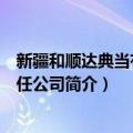 新疆和顺达典当有限责任公司（关于新疆和顺达典当有限责任公司简介）