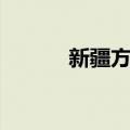 新疆方言（关于新疆方言简介）