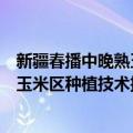 新疆春播中晚熟玉米区种植技术挂图（关于新疆春播中晚熟玉米区种植技术挂图简介）