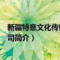 新疆特意文化传媒有限公司（关于新疆特意文化传媒有限公司简介）