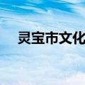 灵宝市文化局（关于灵宝市文化局介绍）