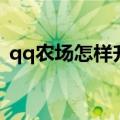 qq农场怎样升级快（qq农场升级快的窍门）