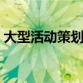 大型活动策划方案（大型活动策划方案示例）