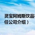 灵宝阿姆斯饮品有限责任公司（关于灵宝阿姆斯饮品有限责任公司介绍）