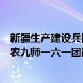 新疆生产建设兵团农九师一六一团（关于新疆生产建设兵团农九师一六一团简介）