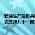 新疆生产建设兵团农五师九十一团（关于新疆生产建设兵团农五师九十一团简介）