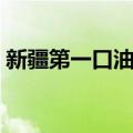 新疆第一口油井（关于新疆第一口油井简介）