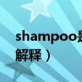 shampoo是什么意思中文翻译（shampoo解释）