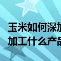 玉米如何深加工提高价值（玉米深加工都可以加工什么产品）