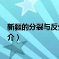 新疆的分裂与反分裂斗争（关于新疆的分裂与反分裂斗争简介）