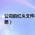 公司的红头文件是什么意思（公司的红头文件具体是什么意思）