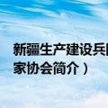 新疆生产建设兵团美术家协会（关于新疆生产建设兵团美术家协会简介）