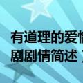 有道理的爱情电视剧剧情（有道理的爱情电视剧剧情简述）