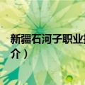 新疆石河子职业技术学院（关于新疆石河子职业技术学院简介）