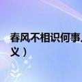 春风不相识何事入罗帏的意思（春风不相识何事入罗帏的含义）