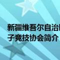 新疆维吾尔自治区电子竞技协会（关于新疆维吾尔自治区电子竞技协会简介）