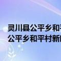 灵川县公平乡和平村新时代讲习所志愿服务队（关于灵川县公平乡和平村新时代讲习所志愿服务队介绍）